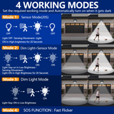 Big Face Rabbit Night Light MyBunnyLight